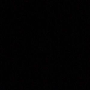 Meet your Posher, Darcy